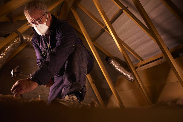 Best DIY Insulation Kits and Guidance in Stinnett, TX