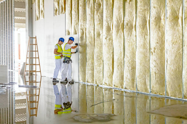 Best Spray Foam Insulation in Stinnett, TX